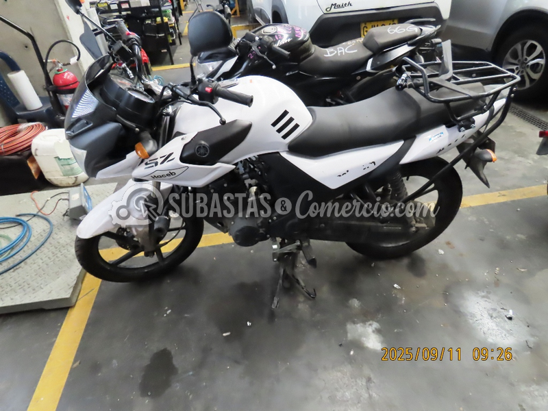 Salvamento Yamaha Sz15rr - 2026 - 88H - Guarne